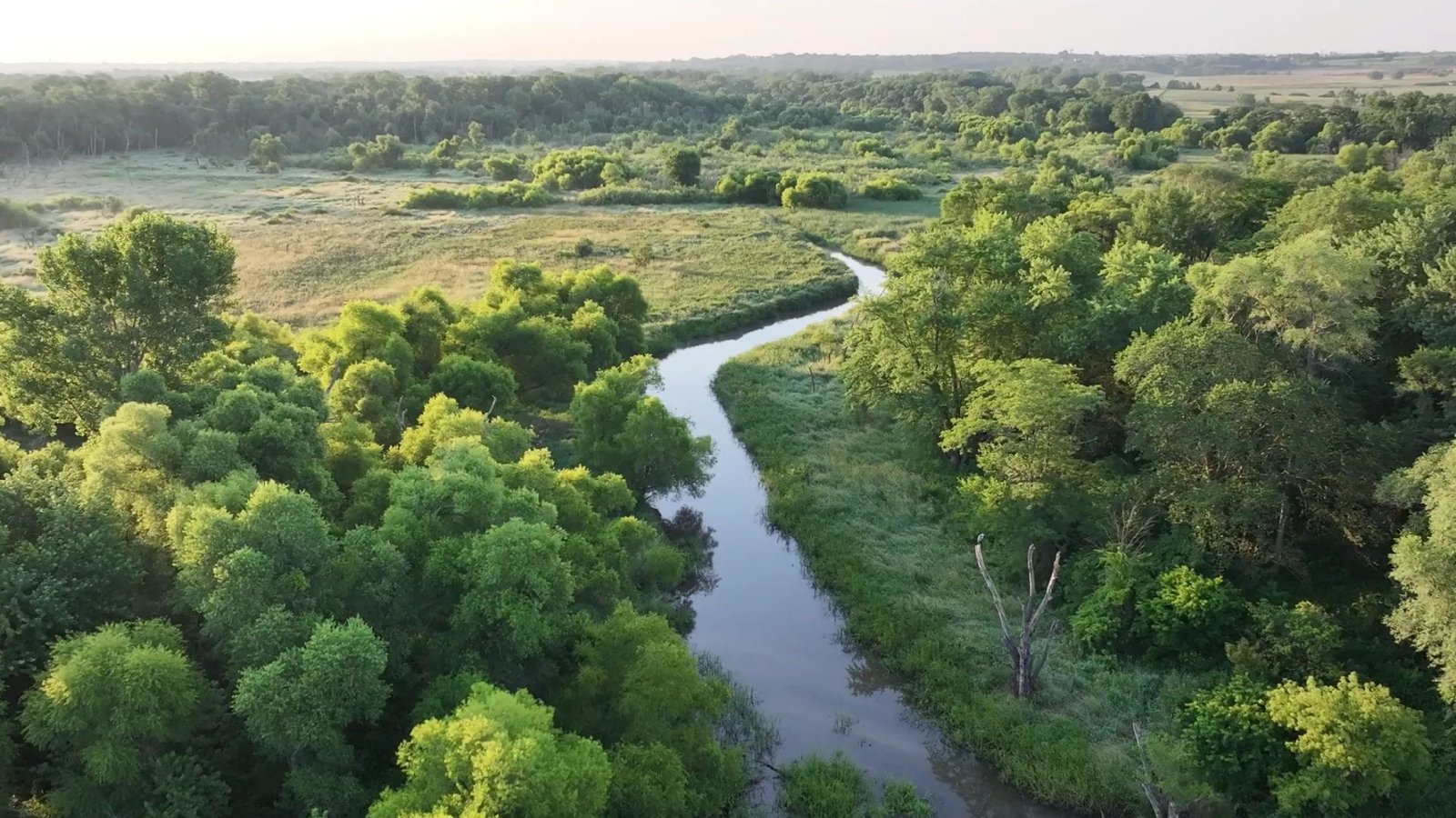 Google investe em sustentabilidade hídrica: o que isso significa para o futuro da tecnologia