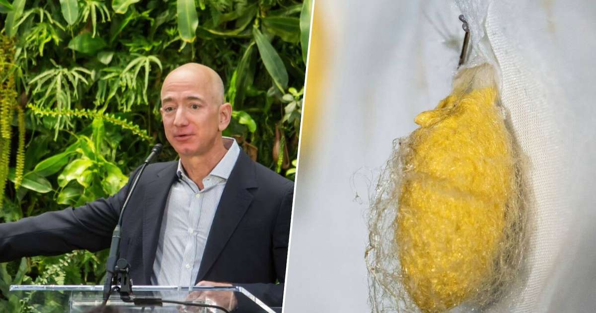 Investimento de US$ 34 milhões de Jeff Bezos em tecidos sustentáveis: o futuro da moda